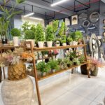 Artificial Plants & Floral Decor Collection